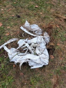 As it is removed, all the protective cages and coverings are placed by each tree, so we are sure it was taken off.