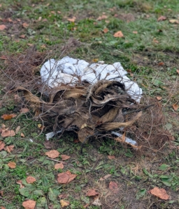 Here is the pile of wrapping from just one tree.