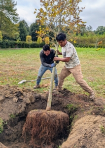 Alex and Pasang are very strong, so they are able to easily maneuver the tree.