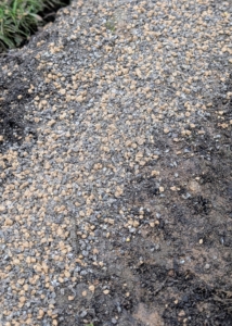 These granules can feed plants for up to three months building strong roots and improving soil quality.
