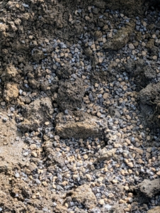 Next, fertilizer is sprinkled into the hole and the surrounding soil.