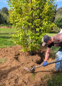 Once the specimen is positioned correctly, it is backfilled.