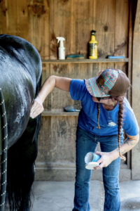 Stewart received close care. In this photo, medicated cream is put on Stewart's skin to help improve the condition of his coat. (Photo courtesy of Dorset Equine Rescue)