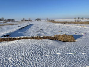 Here is the field on a cold Wisconsin winter day. The snow also acts as a good insulator and helps to protect the crops.