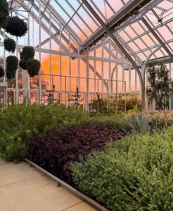 Here's a view of the sunset from inside the new West Conservatory.