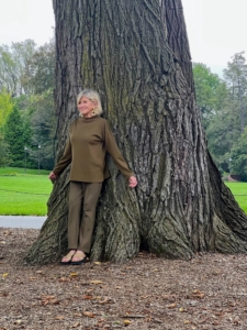 Here's a closer look. The American Elm was once a staple on city streets. Valued for its shade, beautiful branch structure, and adaptability, one could fine this native tree in areas from Florida to some parts of southern Canada, and spreading as far west as North Dakota and Texas.