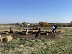 After planting, the area is topped with soil and mulch. Planting is done in October.