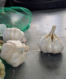 Remember the terminology - a head of garlic and a bulb of garlic refer to the entire structure that contains multiple individual segments.