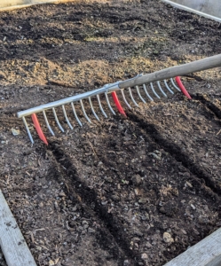 To start, Ryan uses this bed preparation rake from Johnny’s Selected Seeds to create furrows in the soil. Hard plastic red tubes slide onto selected teeth of the rake to mark the rows. In general, seeds should be planted at a depth of two times the width, or diameter, of the seed. A seed that’s about 1/16-of-an-inch thick should be planted an eighth-of-an-inch deep.