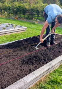 Matthew carefully digs a trench in the center creating a mound on either side for the strawberry plants.
