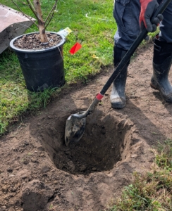 My crew works hard while there is still time to plant in the gardens. Here is Chhiring digging one of the holes.