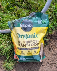 Each hole is sprinkled with a generous amount of fertilizer. I use Miracle-Gro Organic All Purpose Plant Food.