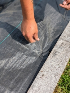 Using garden sod staples, Matthew secures the fabric onto the bed.