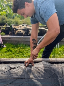 Using a knife, Matthew cuts holes in the fabric to accommodate the plants.