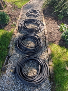 Meanwhile, all the hoses around the farm are gathered, drained, recoiled, tied, and then stored away for the season. This too is a big task - I have hundreds of hoses, sprinklers and watering wands around the farm.