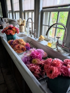 I grow many flowers every year, so they can be cut and used for photography shoots, videos or to display in my kitchen, servery, and sitting rooms.