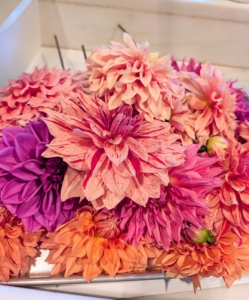 The next arrangement - dahlias. The dahlia is named after the Swedish 18th century botanist Anders Dahl, who originally declared the flower a vegetable, as the tubers are edible, but eating dahlias as a delicacy never grew popular.
