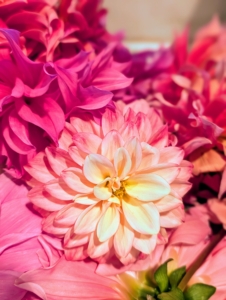 Enma selects the largest and most striking flowers to be the focal point of the arrangement.