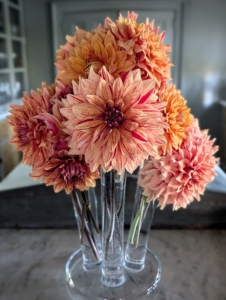 This dahlia arrangement is on the center island in my servery.