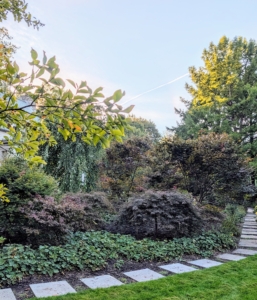 By late afternoon everything was planted and watered. A well tended garden is always a work in progress. I am looking forward to adding more interesting greenery and seeing this transformed garden flourish.