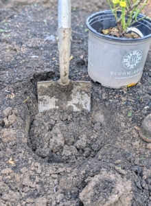 And the digging begins – 64 holes, 32 on each side.