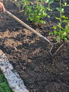 Any surrounding soil is leveled and tidied with a hard rake.