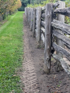 My farm sits on 153 acres of gardens, pastures, and woodlands. I am constantly thinking of places to add beautiful and interesting plants. This walkway between the fenced areas will look great with a row of hydrangeas.