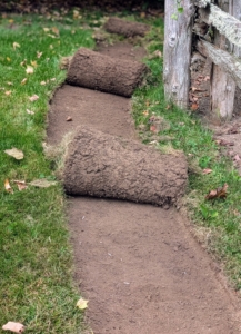 Before planting, one foot wide strips of sod are removed from the fenced area surrounding my large vegetable garden.
