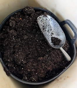The first step is to gather the right materials. Ryan uses a potting mix that includes perlite and vermiculite for good drainage. I use Miracle-Gro Potting Mix formulas.