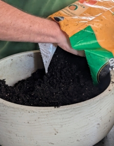 Ryan starts to fill the pot with potting mix – this mix is very light with good aeration, which is crucial for healthy root growth.