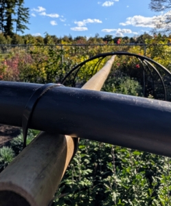 Pete uses zip ties, or cable ties, to attach the hard hose to a long bamboo cane that runs from one end to the other. Notice, the hose is on top of the bamboo. This is to prevent any damage from the natural bamboo to the cloth that will be draped over the structure.
