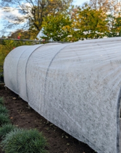Here's the view from one side. All three raised boxes are completely shielded. On warmer days, this cloth will also allow good air circulation.