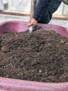 Before the plants are stored, they're repotted in plastic containers. This potting mix is specially formulated for outdoor container plants. Using a shovel, my gardener, Matthew Orrego, scoops the potting mix into an empty pot.