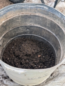 The selected new pot is filled about a third with potting soil.