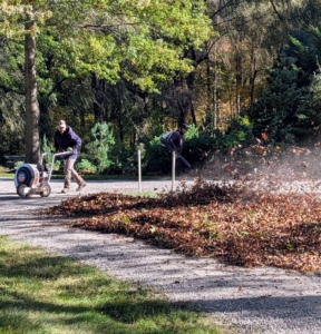 Adan, who takes excellent care of my lawns has now split his time between mowing grass and blowing leaves.