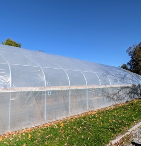 The hoop house structures are all made from steel frames and polyethylene panels. Inside, the temperature and humidity levels are closely monitored and can be adjusted when necessary. They all have manual roll-up curtains on both sides for ventilation purposes on milder days.