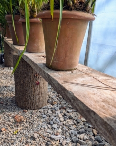 I also make my own shelving out of the old boards and stumps. Use long three-inch screws to attach the stumps to the wooden boards, so they do not fall over.
