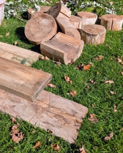 I repurpose boards and stumps from downed trees to use as shelves and risers for some of the potted plants. It’s important to make use of both horizontal and vertical space when storing. A lot of the wood comes from the old, diseased ash trees that were taken down.