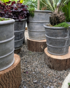 Using stumps of various heights is the best use of vertical space, so plants can be stored closer together and not be in each other's way. Be sure to use stumps that are larger than the pot bottom.
