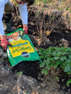 Cesar spreads a fresh layer of Miracle-Gro All-Purpose Garden Soil around the entire bed.