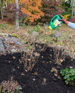Then he sprinkles more food on top of the garden soil.
