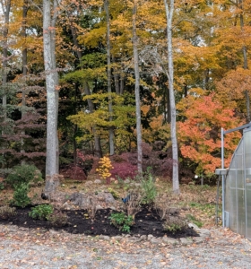 It is the peak of autumn here at the farm, but there is still time to plant in the garden.