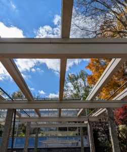 The small pergola outside my main greenhouse is being restored. The old wooden beams and rafter tails are removed and replaced. Luckily, a lot of the wood is still usable. Once complete, the entire pergola will get a fresh coat of paint - Bedford Gray, of course.