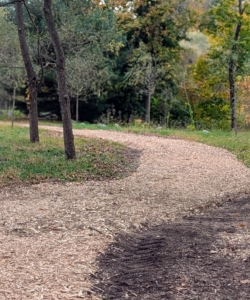 A new path to my pond is groomed and topped with a layer of wood chips made right here from down trees. Wood chips look neat and tidy, but they also prevent any soil erosion from runoff and enrich the soil as they decompose.