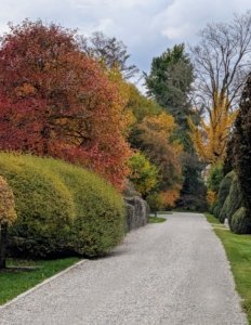 It is so beautiful this time of year when all the deciduous trees show their stunning autumn colors before dropping their leaves. Here at my farm, it is also weeks of hard work to clean up all the fallen leaves. This is the carriage road outside my home - freshly blown.