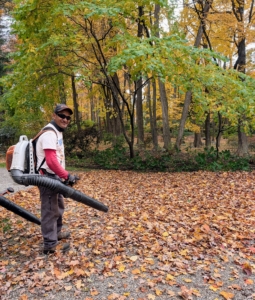Pasang is using one of my trusted STIHL backpack blowers down by my production studio house. I've been using STIHL’s blowers for years here at my farm. These blowers are powerful and fuel-efficient. The gasoline-powered engines provide enough rugged power to tackle heavy debris while delivering much lower emissions.