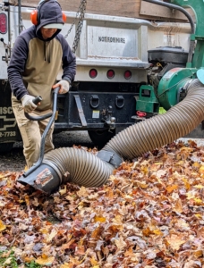 Once the leaves are blown into a manageable pile, they are directed to the opening of a vacuum tube connected to a dump truck. The leaves are then taken to the compost area, where they will decompose and get used again as mulch.