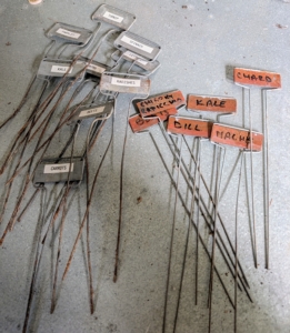I reuse markers season to season inside this greenhouse. These are already labeled and ready to insert into the beds.