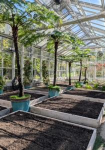 This is the inside of my vegetable greenhouse. The ideal temperature when in full use is around 80 to 85-degrees Fahrenheit to keep all the vegetables growing their best. We have a large thermometer at the entrance to the structure, so the temperature can be checked easily several times a day.