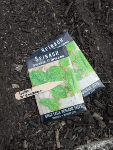 Ryan will plant two beds of spinach. I use spinach every day in my green juice - it's always picked fresh. Spinach is an excellent source of vitamin K, vitamin A, vitamin C, folate, and a good source of manganese, magnesium, iron and vitamin B2.